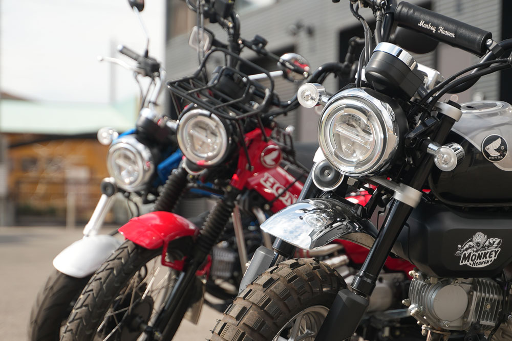 モンキーハンターカブダックスの比較